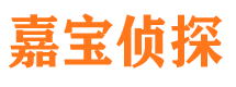 枫溪侦探公司